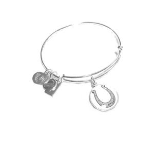 Alex & Ani Horseshoe Charm Bracelet